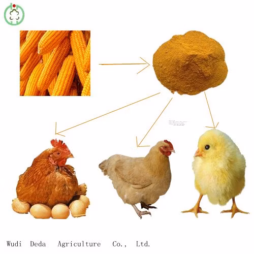 Yellow Corn Gluten Meal 60% Protein Feed Additives for Sale